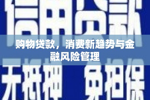 大东购物贷款，消费新趋势与金融风险管理