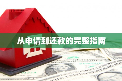 大东从申请到还款的完整指南