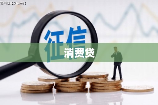 大东消费贷