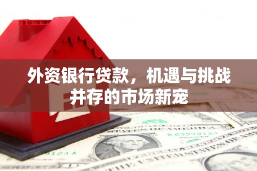 大东外资银行贷款，机遇与挑战并存的市场新宠
