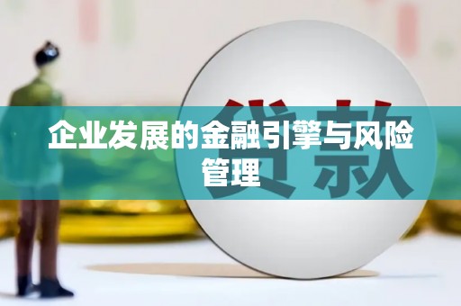 大东企业发展的金融引擎与风险管理