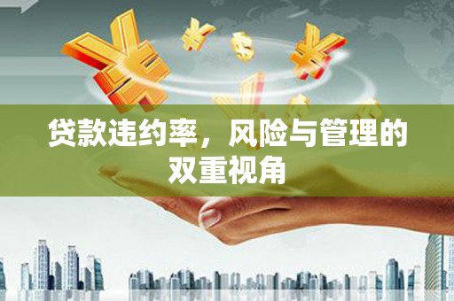 大东贷款违约率，风险与管理的双重视角
