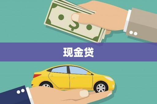 大东现金贷
