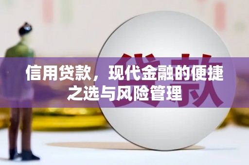 大东信用贷款，现代金融的便捷之选与风险管理