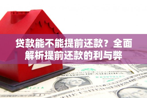大东贷款能不能提前还款？全面解析提前还款的利与弊