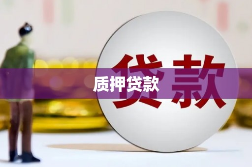 大东质押贷款