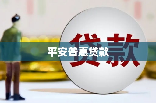 大东平安普惠贷款