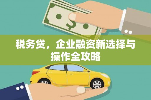 大东税务贷，企业融资新选择与操作全攻略