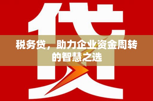 大东税务贷，助力企业资金周转的智慧之选