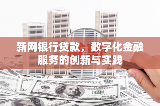 大东新网银行贷款，数字化金融服务的创新与实践