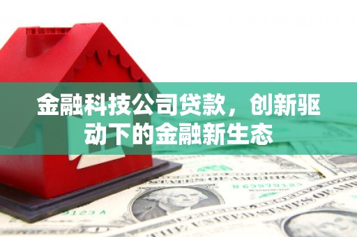 大东金融科技公司贷款，创新驱动下的金融新生态