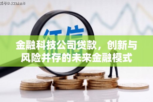 大东金融科技公司贷款，创新与风险并存的未来金融模式