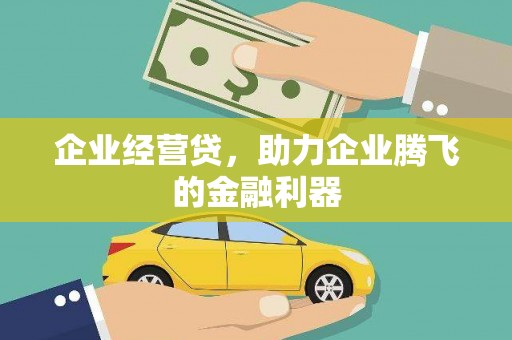 大东企业经营贷，助力企业腾飞的金融利器