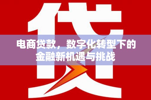 大东电商贷款，数字化转型下的金融新机遇与挑战