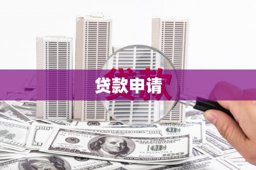 大东贷款申请