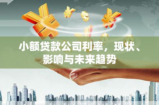大东小额贷款公司利率，现状、影响与未来趋势