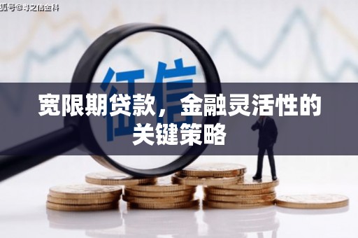 大东宽限期贷款，金融灵活性的关键策略