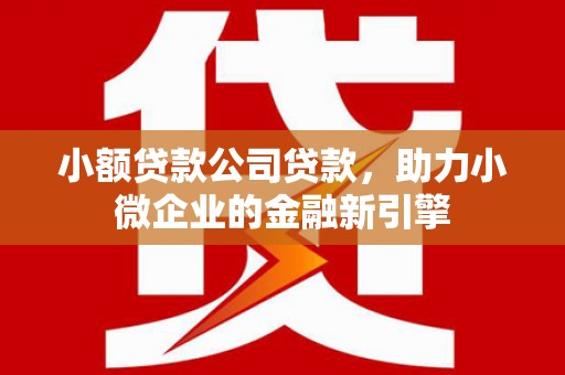 大东小额贷款公司贷款，助力小微企业的金融新引擎