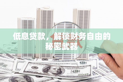 大东低息贷款，解锁财务自由的秘密武器