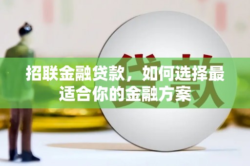大东招联金融贷款，如何选择最适合你的金融方案