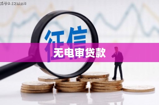 大东无电审贷款