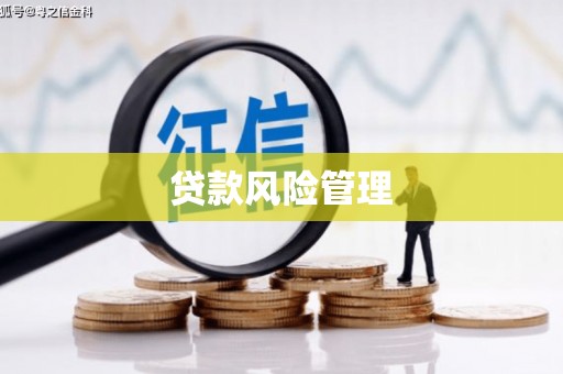大东贷款风险管理