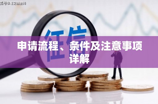 大东申请流程、条件及注意事项详解