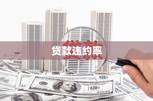 大东贷款违约率