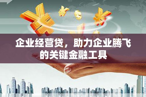 大东企业经营贷，助力企业腾飞的关键金融工具