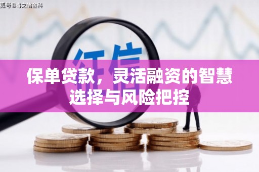 大东保单贷款，灵活融资的智慧选择与风险把控
