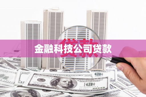 大东金融科技公司贷款