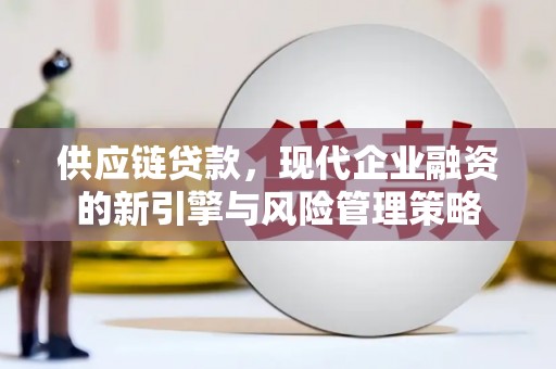 大东供应链贷款，现代企业融资的新引擎与风险管理策略