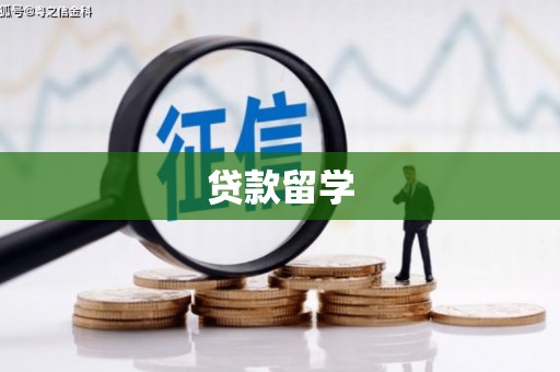 大东贷款留学