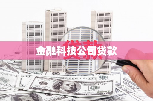 大东金融科技公司贷款