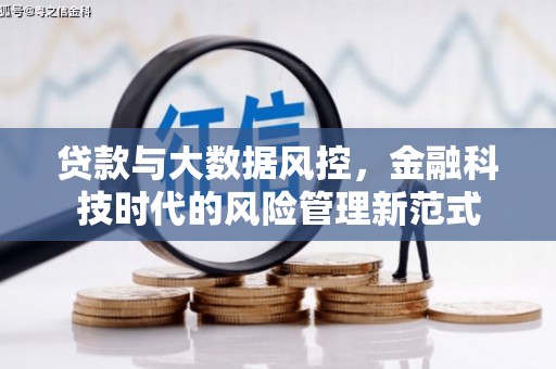 大东贷款与大数据风控，金融科技时代的风险管理新范式