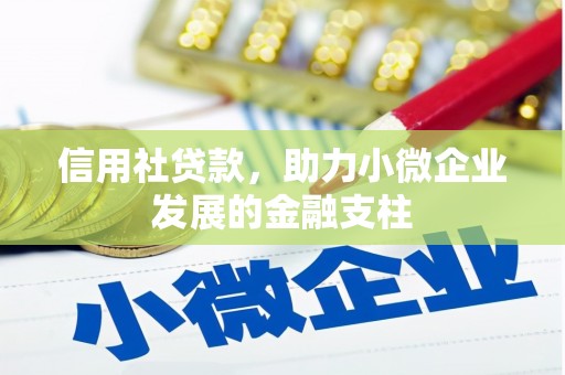 大东信用社贷款，助力小微企业发展的金融支柱