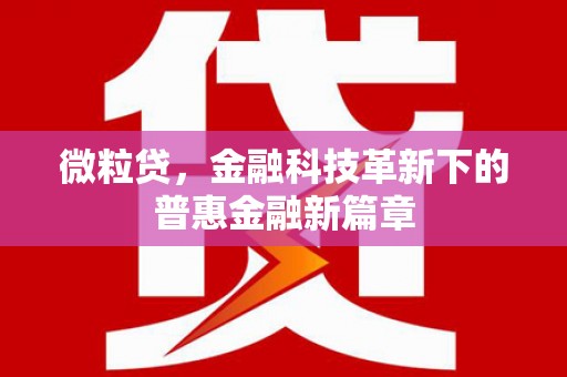 大东微粒贷，金融科技革新下的普惠金融新篇章