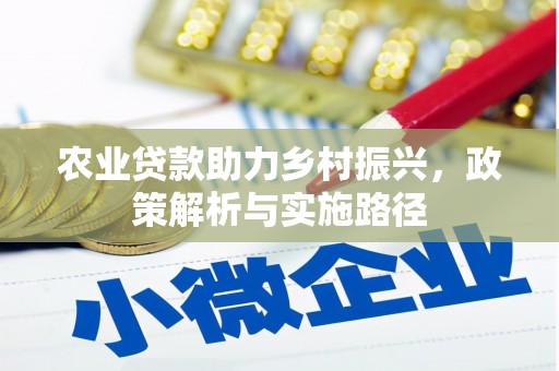 大东农业贷款助力乡村振兴，政策解析与实施路径