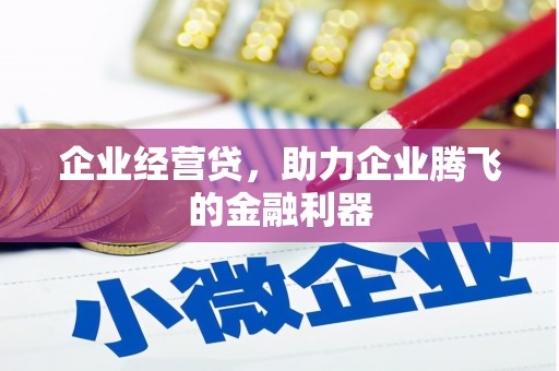 大东企业经营贷，助力企业腾飞的金融利器