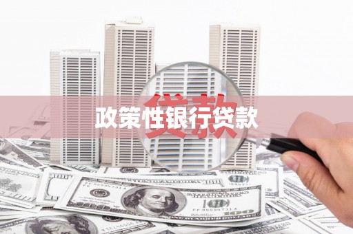 大东政策性银行贷款