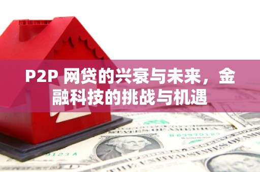 大东P2P 网贷的兴衰与未来，金融科技的挑战与机遇