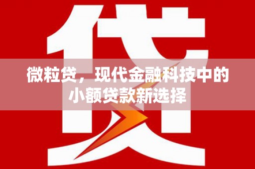 大东微粒贷，现代金融科技中的小额贷款新选择