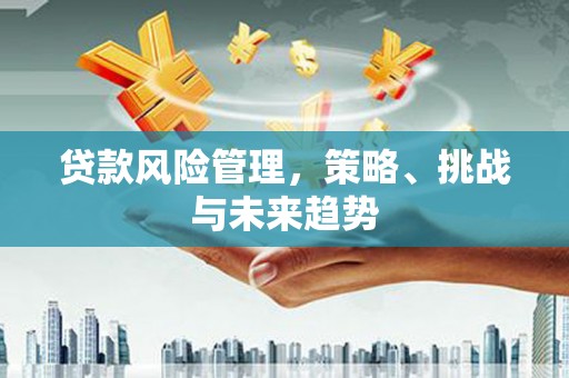 大东贷款风险管理，策略、挑战与未来趋势