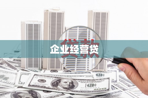 大东企业经营贷