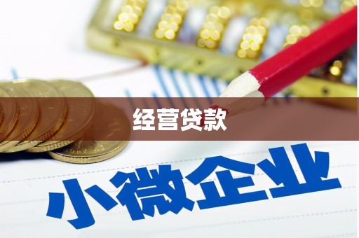 大东经营贷款