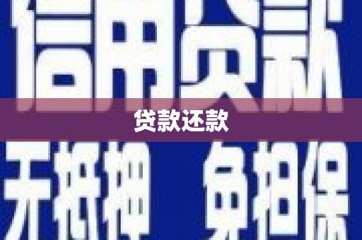 大东贷款还款