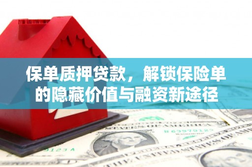 大东保单质押贷款，解锁保险单的隐藏价值与融资新途径