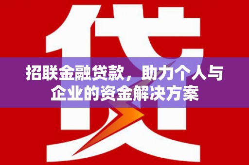 大东招联金融贷款，助力个人与企业的资金解决方案