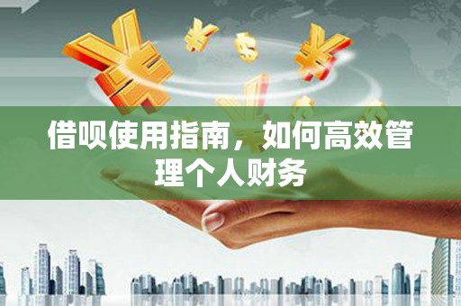 大东借呗使用指南，如何高效管理个人财务