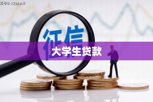 大东大学生贷款
